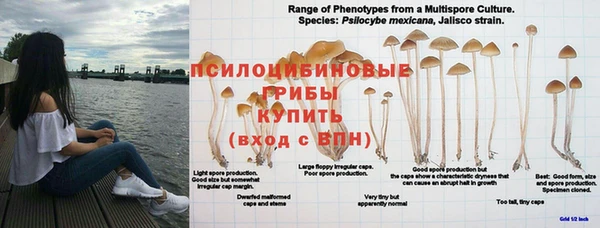 гашишное масло Медногорск